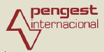 pengest-internacional